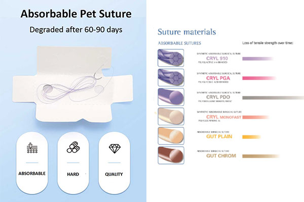 BIOTECH SURGICAL SUTURE - BIORKA